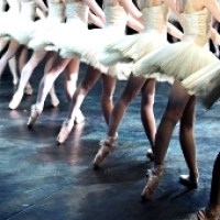 show-2