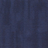 cor5408